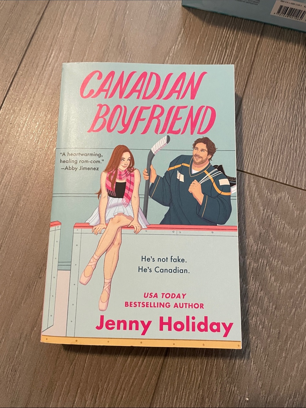 Canadian Boyfriend by Jenny Holiday - Light Blue & Pink Cover all included